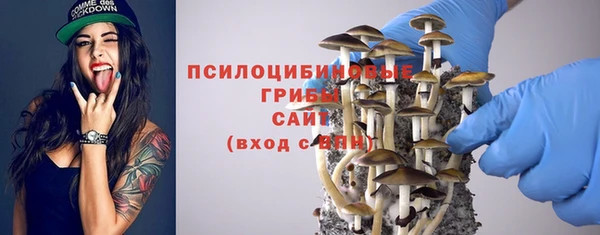шишки Каменск-Шахтинский