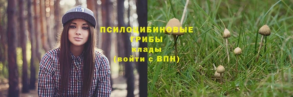 шишки Каменск-Шахтинский