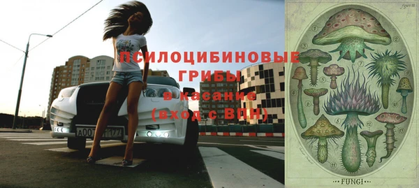 шишки Каменск-Шахтинский