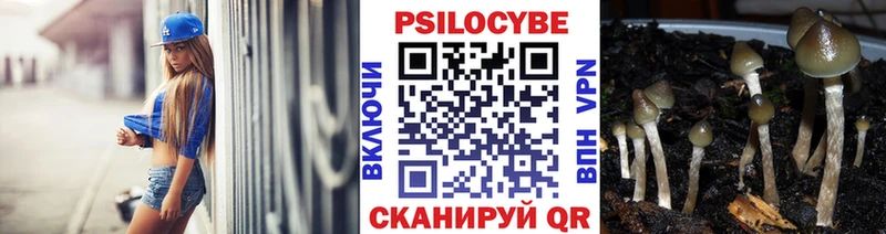 Галлюциногенные грибы Magic Shrooms  Купить  Моздок 